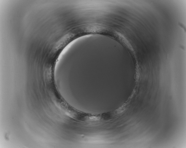 X0000102290163200808152002