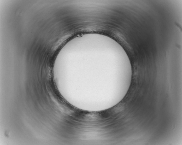 X0000102290164200808152002