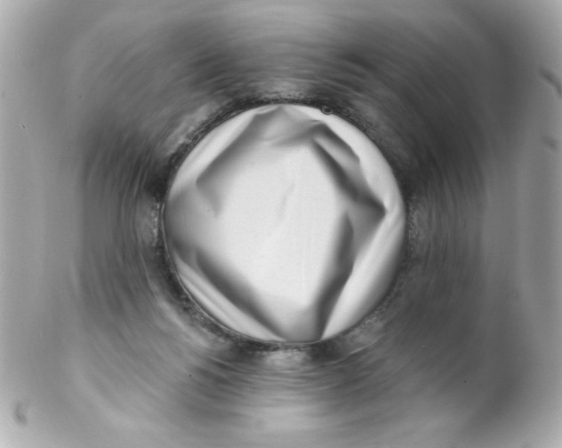 X0000102290168200808152002