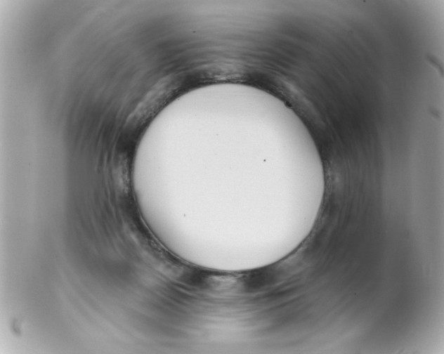 X0000102290170200808152002