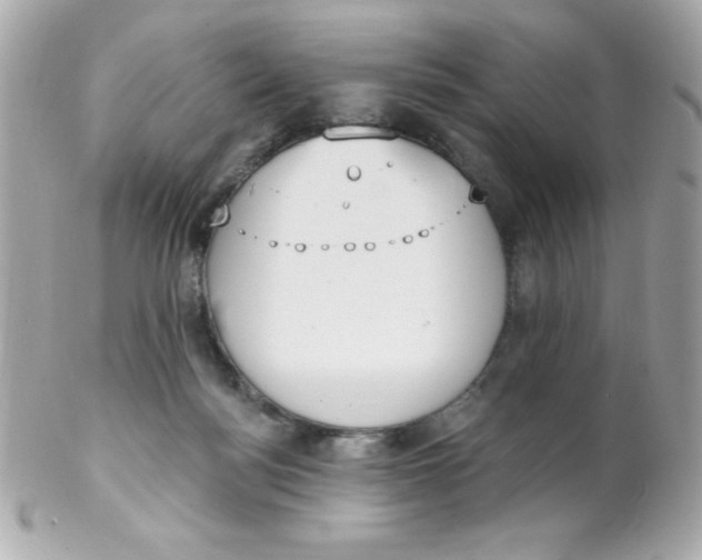 X0000102290172200808152002