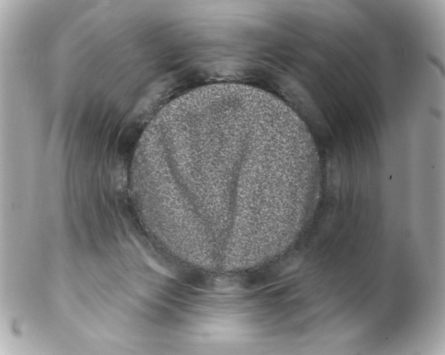 X0000102290173200808152002