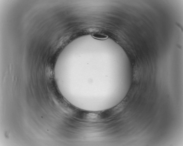 X0000102290176200808152002