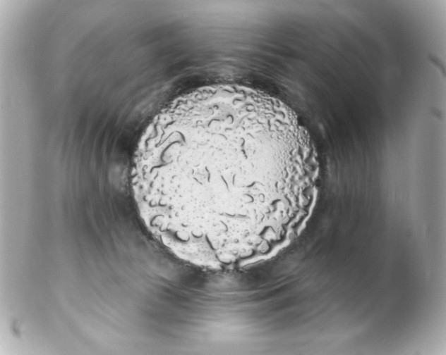 X0000102290177200808152003