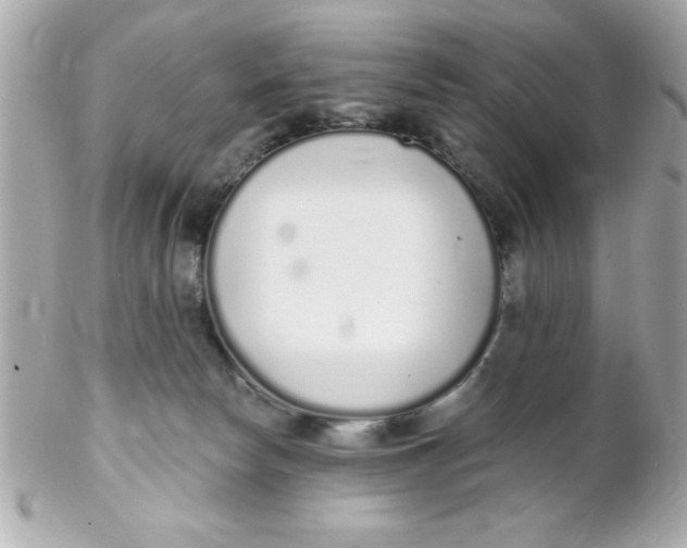 X0000102290178200808152003