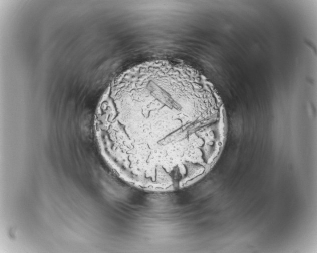 X0000102290181200808152003