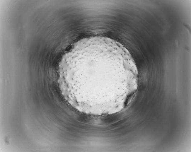 X0000102290182200808152003