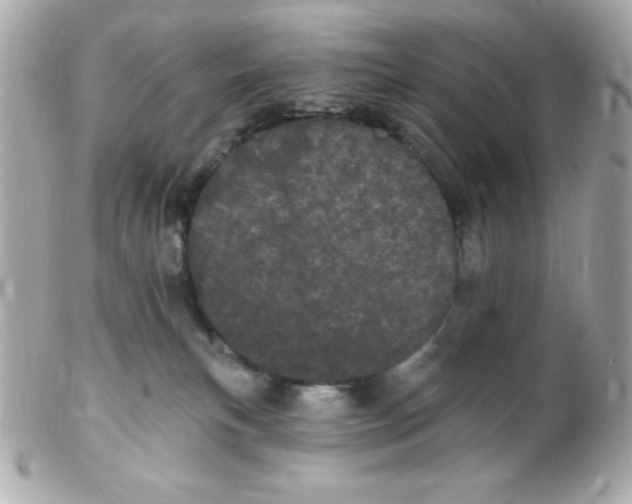 X0000102290183200808152003