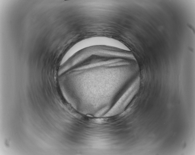 X0000102290184200808152003