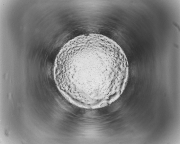 X0000102290185200808152003