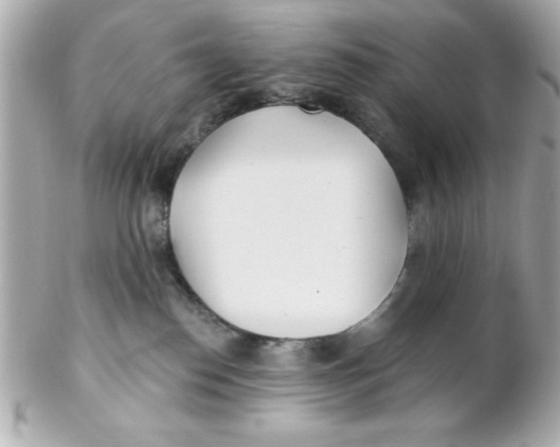 X0000102290186200808152003