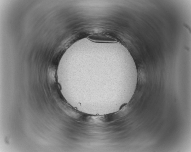 X0000102290188200808152003