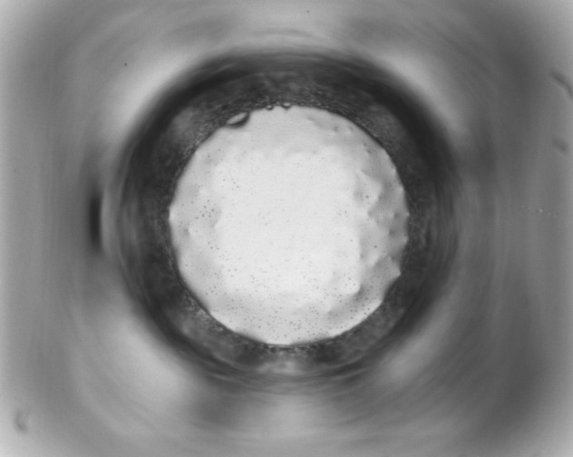 X0000102290189200808152003