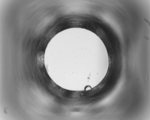 X0000102290190200808152003