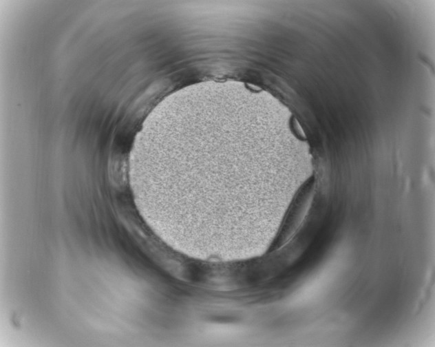 X0000102290191200808152003