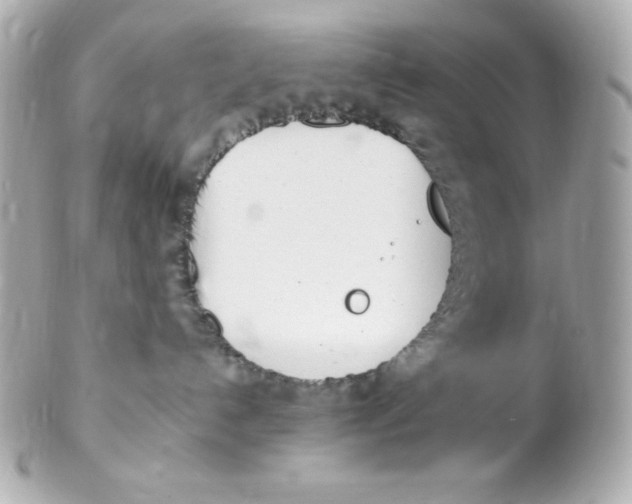 X0000102290192200808152003