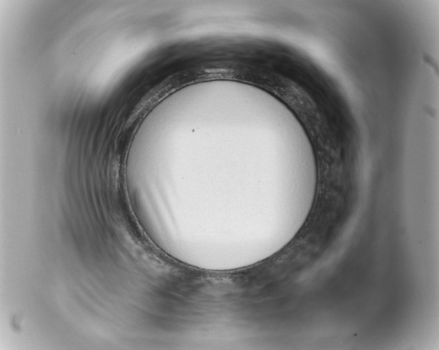 X0000102290194200808152002