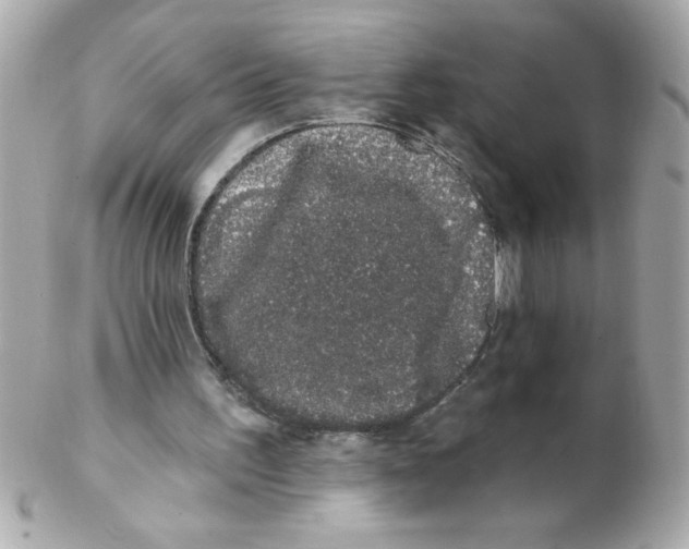 X0000102290195200808152002