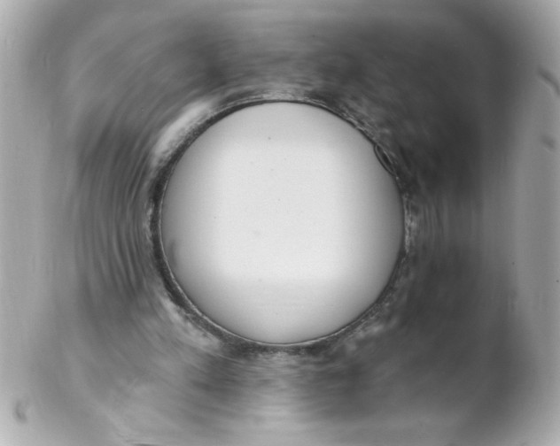 X0000102290197200808152002