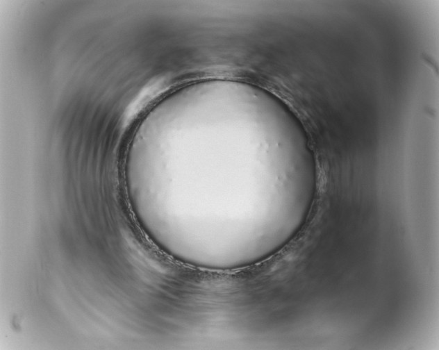 X0000102290198200808152002