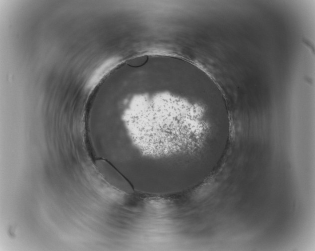 X0000102290199200808152002