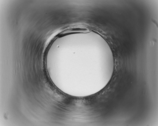 X0000102290200200808152002