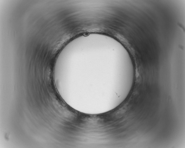 X0000102290201200808152002