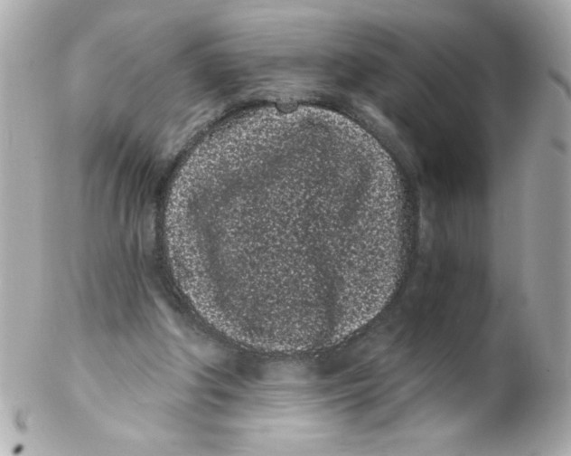 X0000102290202200808152002