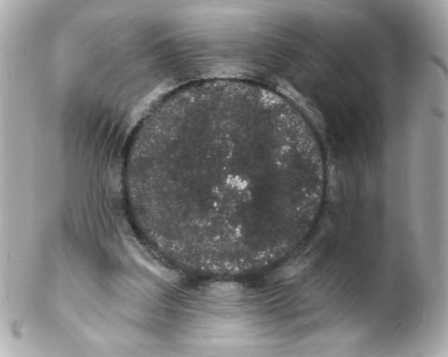 X0000102290203200808152002