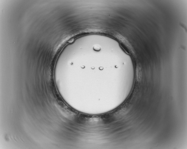 X0000102290204200808152002