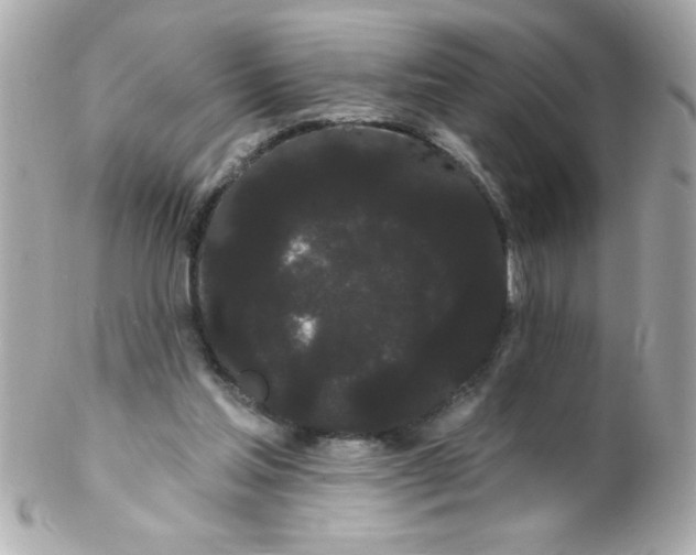 X0000102290205200808152002