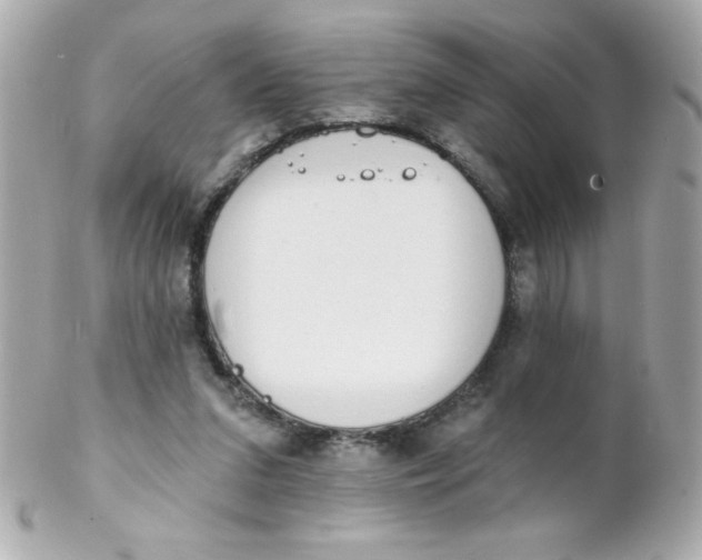 X0000102290207200808152002