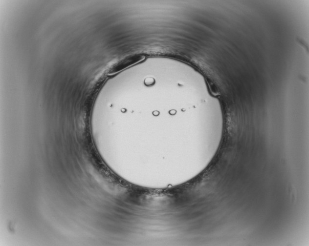 X0000102290208200808152002