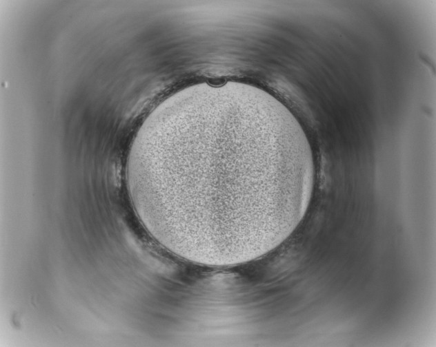 X0000102290210200808152002