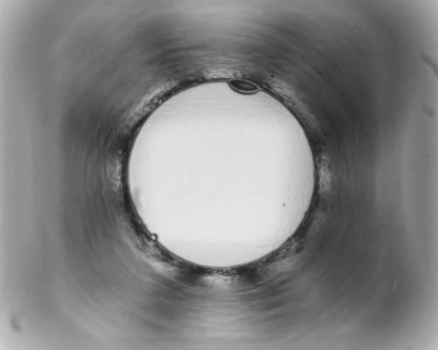 X0000102290211200808152002