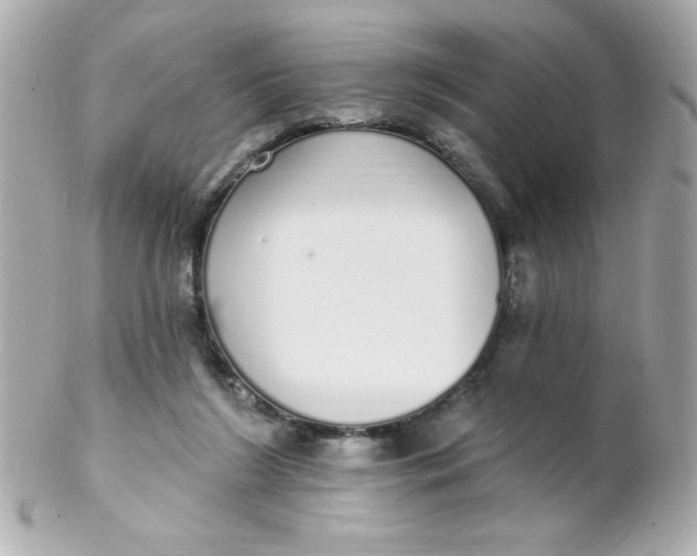 X0000102290212200808152002