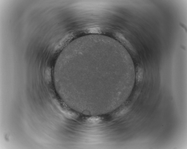 X0000102290213200808152002