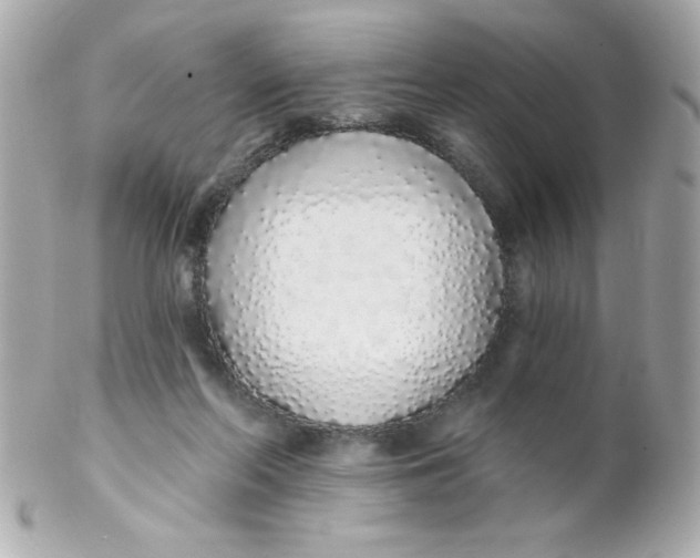 X0000102290214200808152002