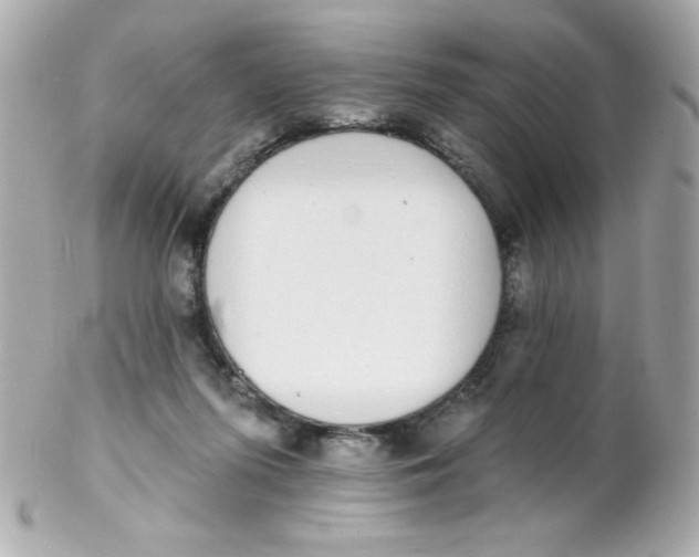 X0000102290215200808152002