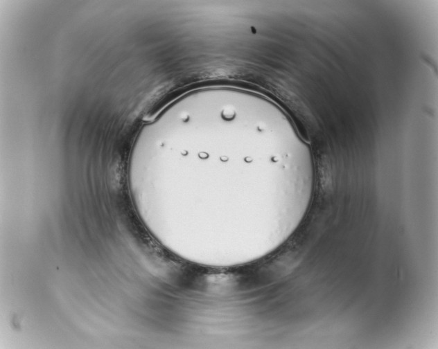 X0000102290216200808152002