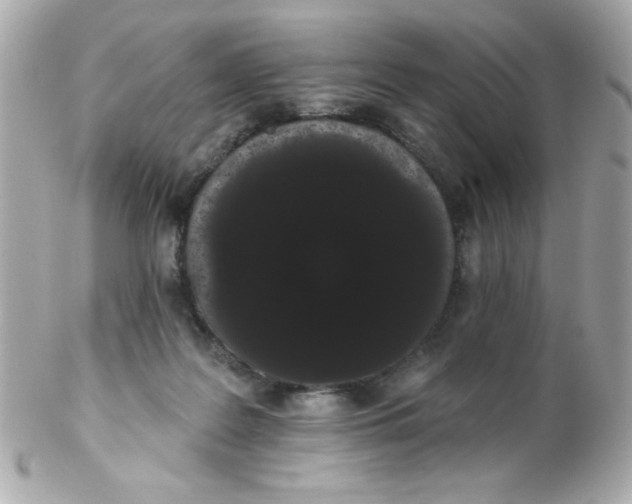 X0000102290219200808152001