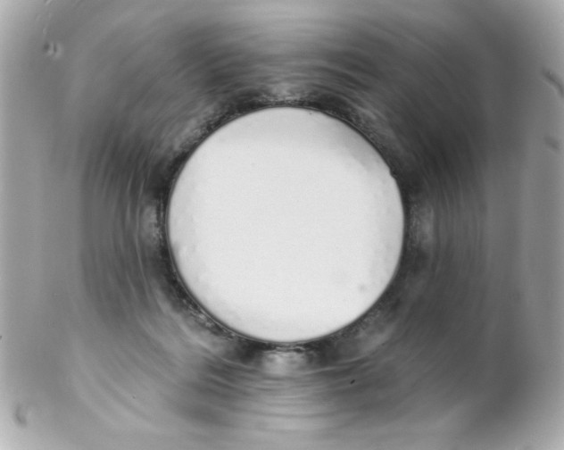 X0000102290220200808152001