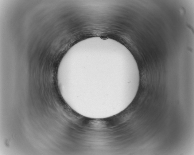 X0000102290221200808152001