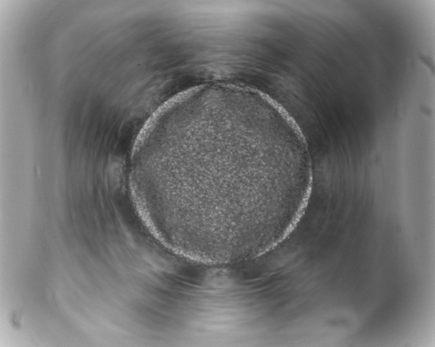 X0000102290222200808152001