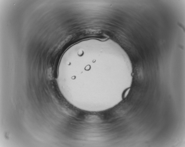 X0000102290224200808152001