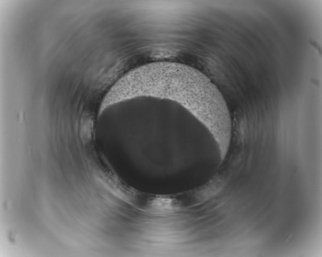 X0000102290227200808152001