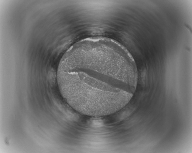 X0000102290228200808152001