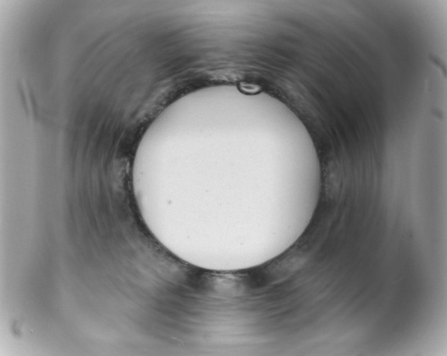 X0000102290229200808152001