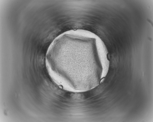 X0000102290230200808152001