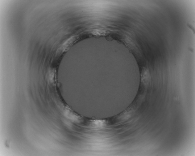 X0000102290233200808152001